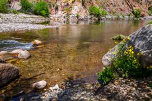 Kern River-0193.jpg